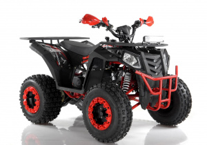 ATV THUNDER EVOX200