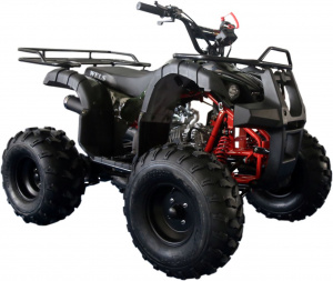 ATV THUNDER 125 Basic