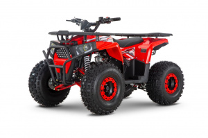 Комплект THUNDER WELS Trail 125