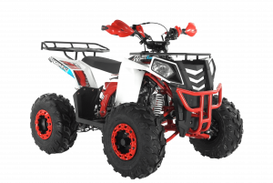 ATV THUNDER EVO 125