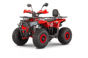 Комплект THUNDER WELS Trail 125 PRO